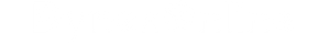 DynexOnline | Fast & Secure Messaging Platform